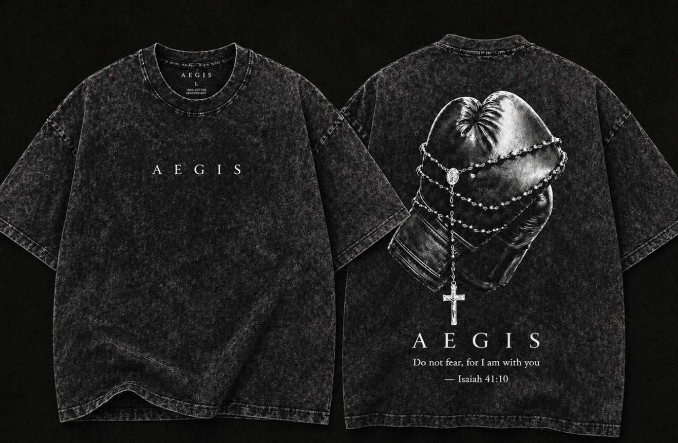 AEGIS Acid Wash Pump Cover
